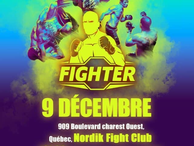 Fighter 3