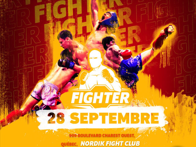 Fighter 6