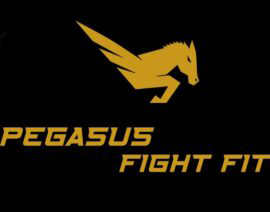 PegasusFit1